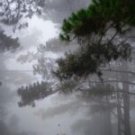 nomad.hiddentrails.fun