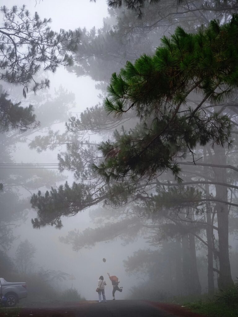 nomad.hiddentrails.fun