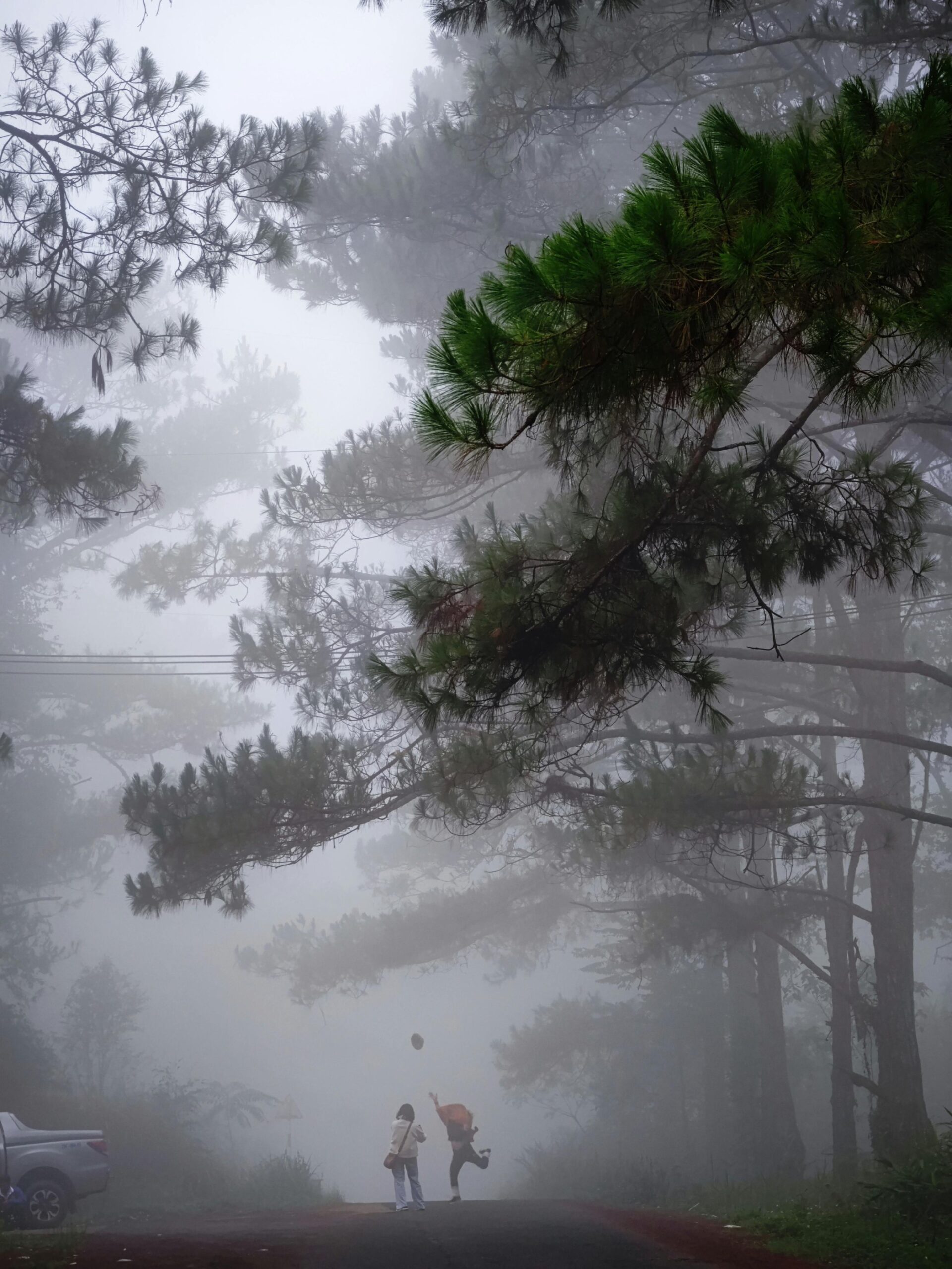 nomad.hiddentrails.fun